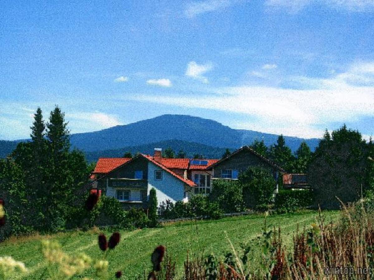 Pension Landhaus Hochfeld ซวีเซิล ภายนอก รูปภาพ